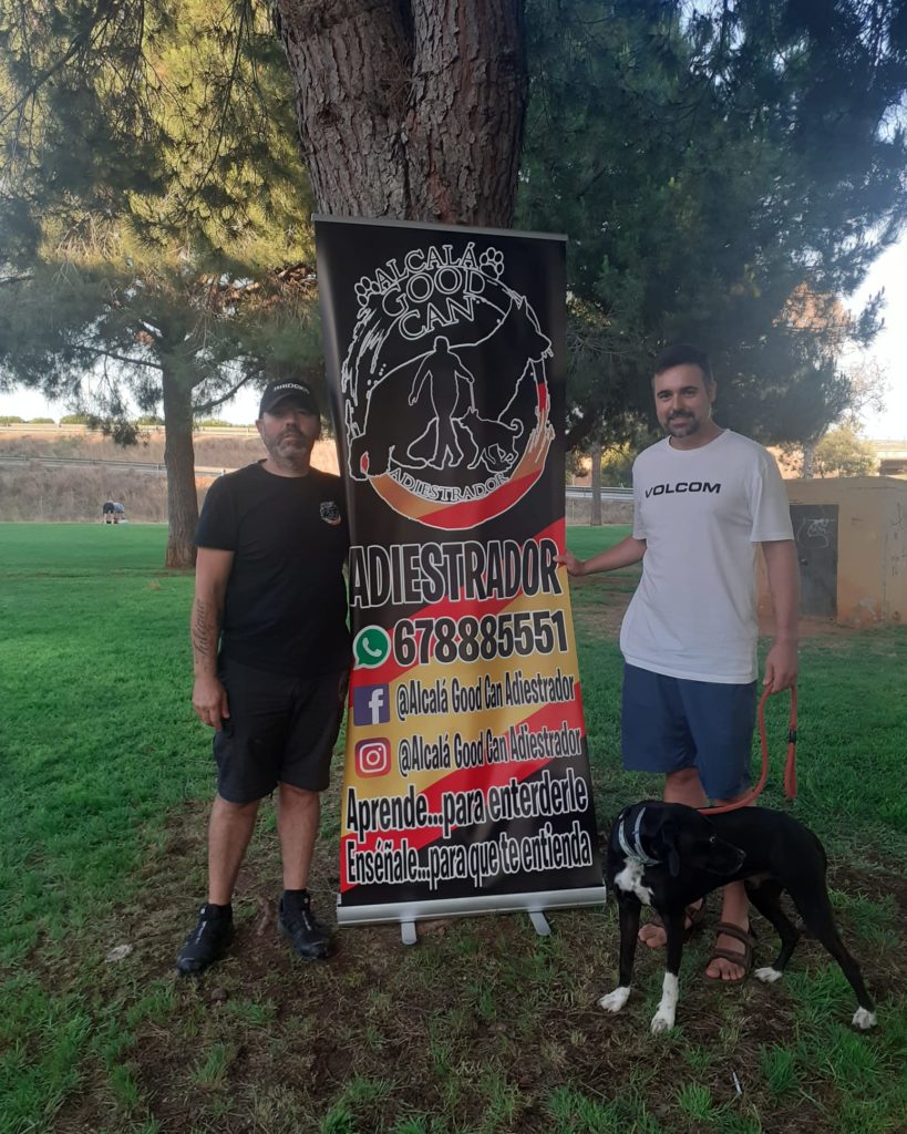 Perro de la galería de clientes de Alcalá Good Can