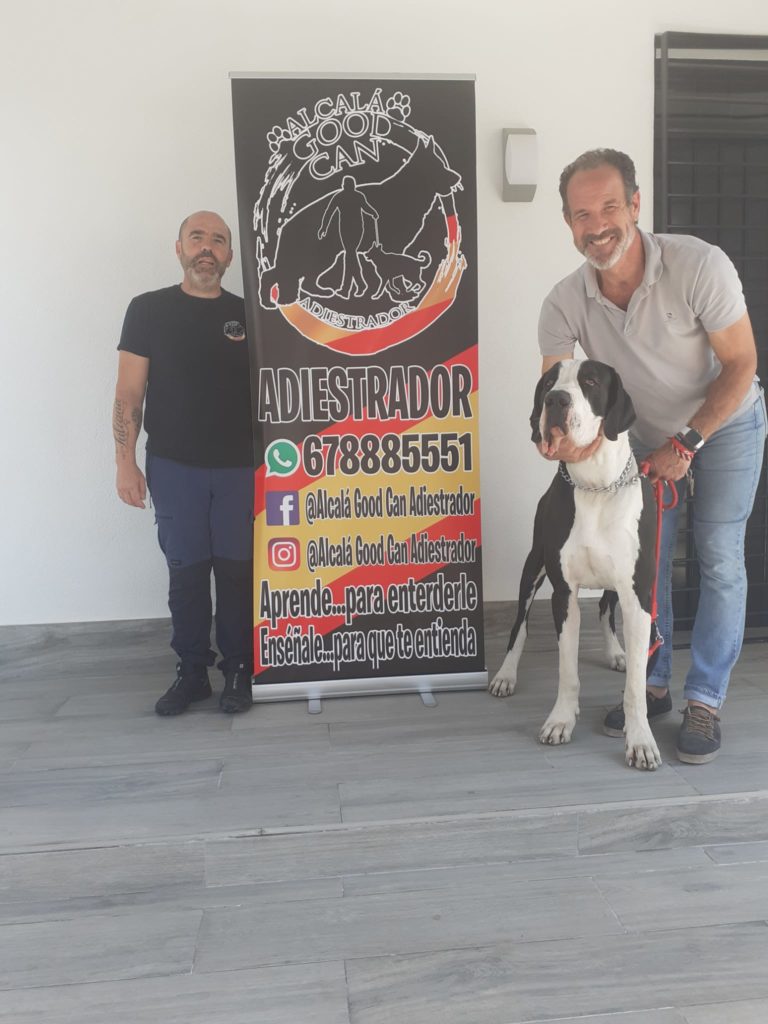 Perro de la galería de clientes de Alcalá Good Can