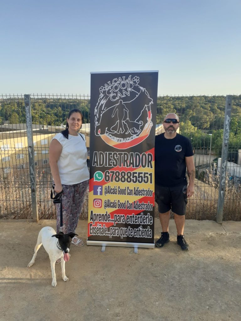 Perro de la galería de clientes de Alcalá Good Can