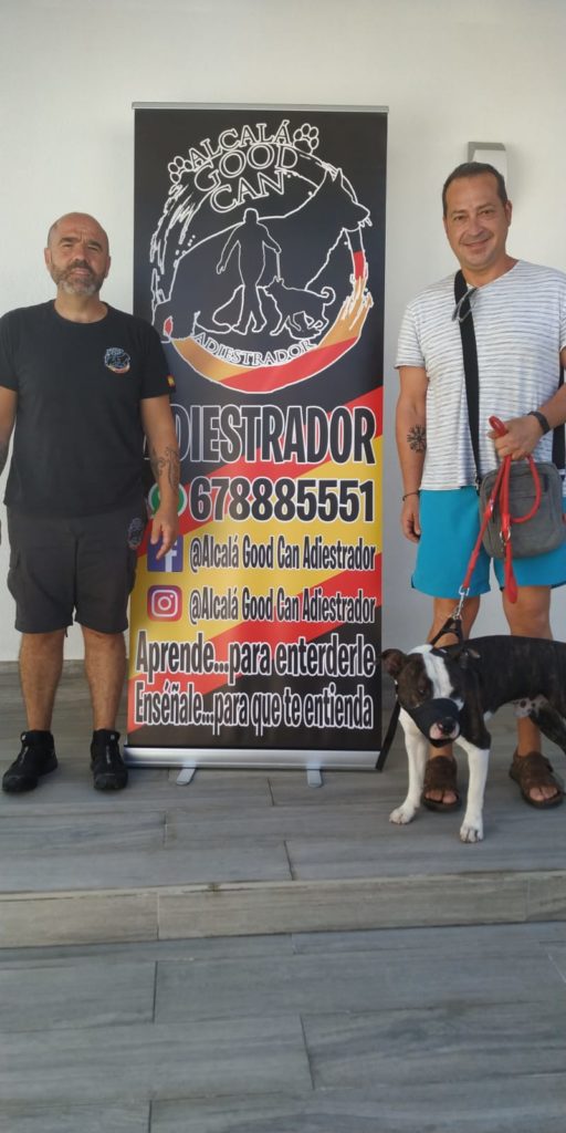 Perro de la galería de clientes de Alcalá Good Can