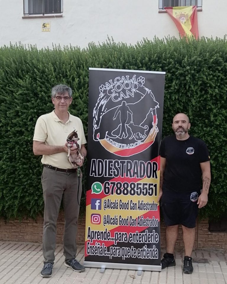 Perro de la galería de clientes de Alcalá Good Can