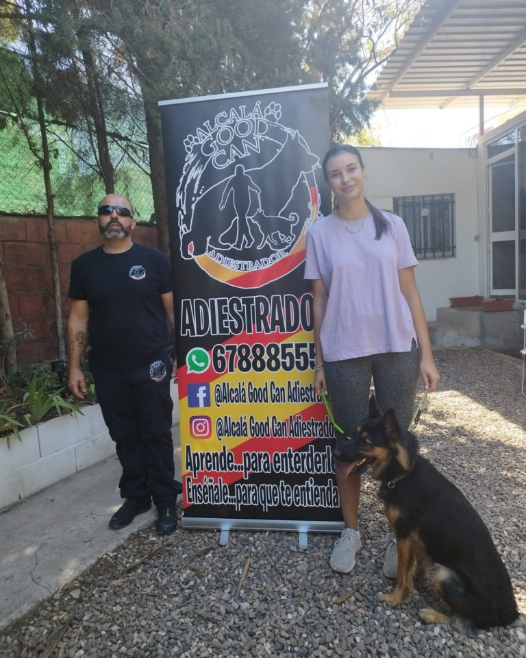 Perro de la galería de clientes de Alcalá Good Can