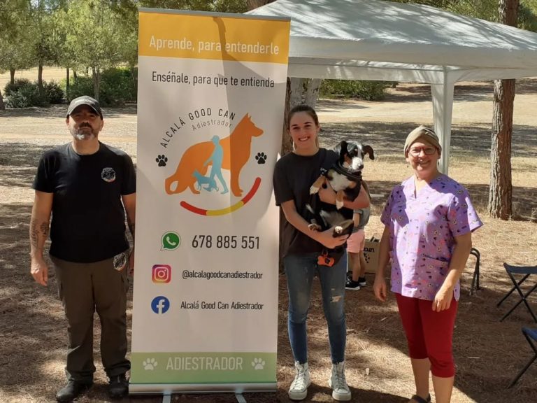 Perro de la galería de clientes de Alcalá Good Can