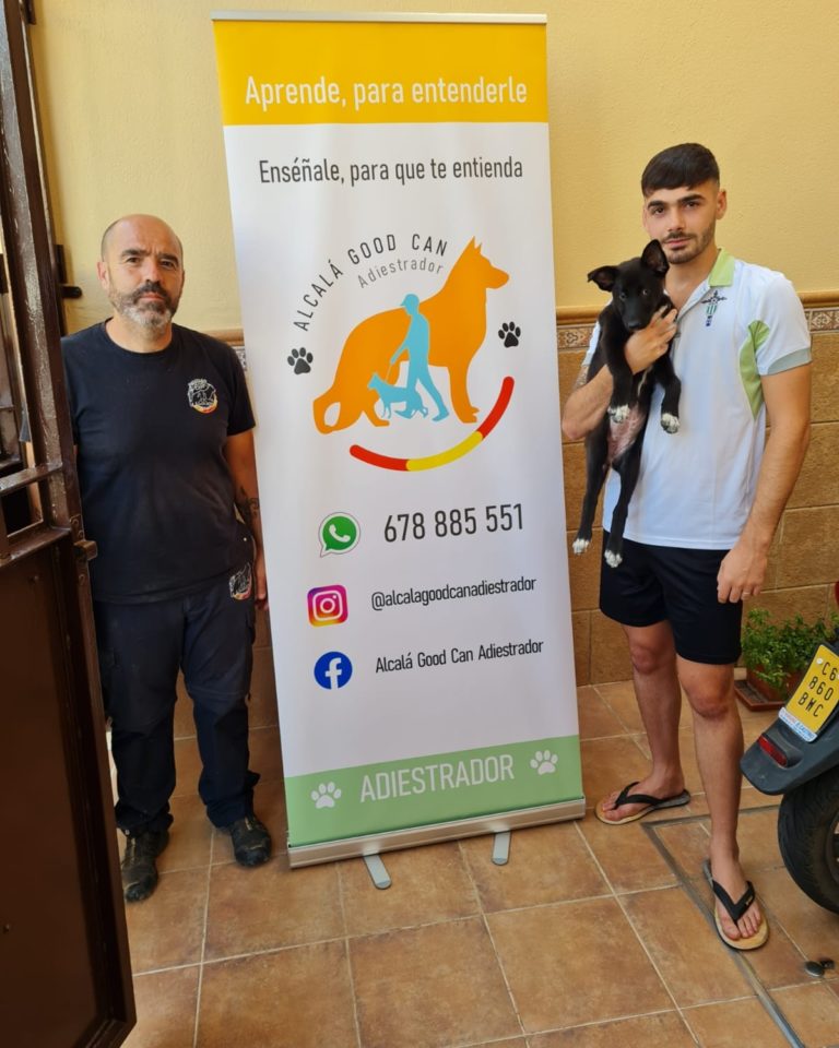 Perro de la galería de clientes de Alcalá Good Can