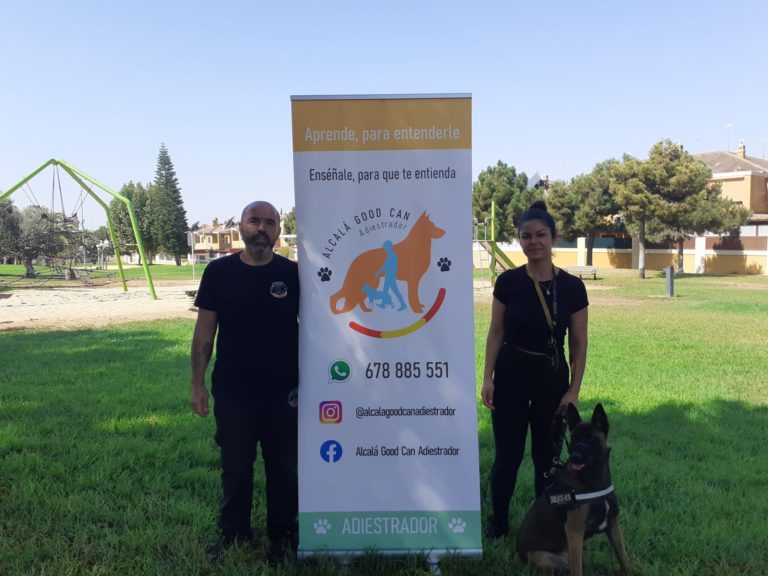 Perro de la galería de clientes de Alcalá Good Can