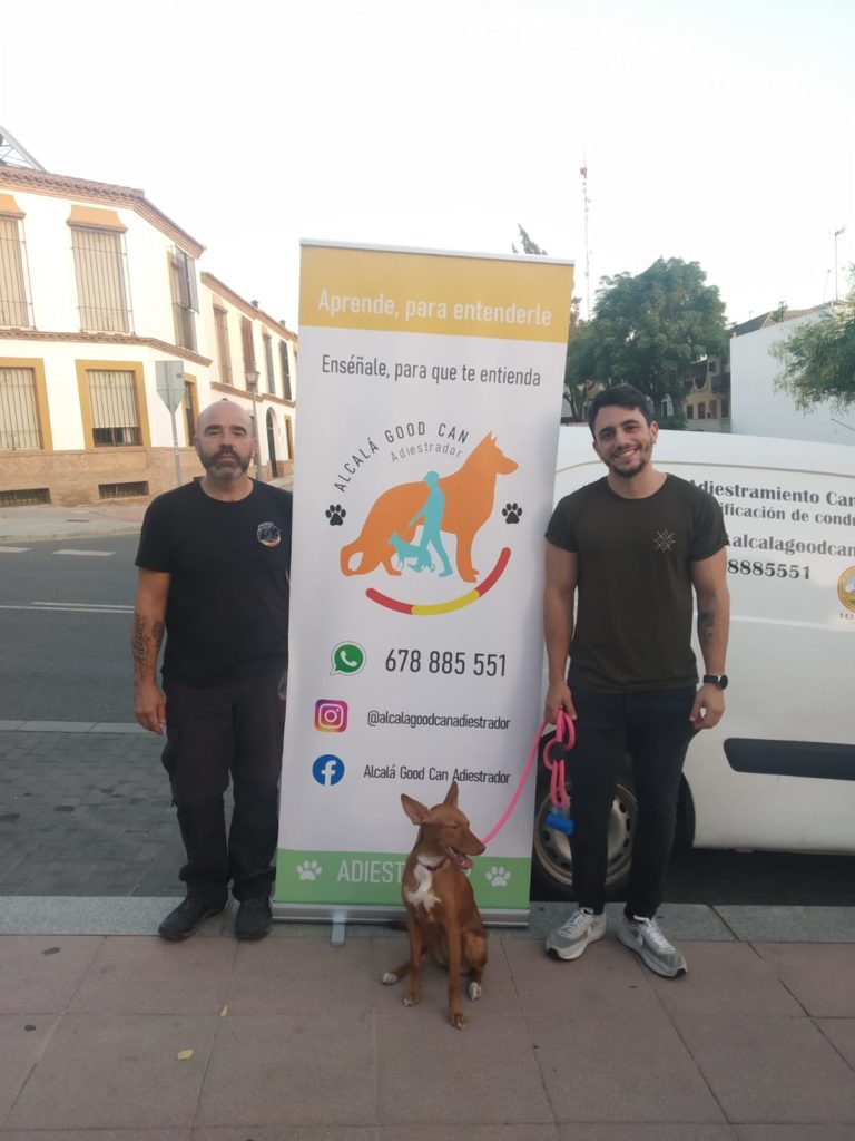 Perro de la galería de clientes de Alcalá Good Can