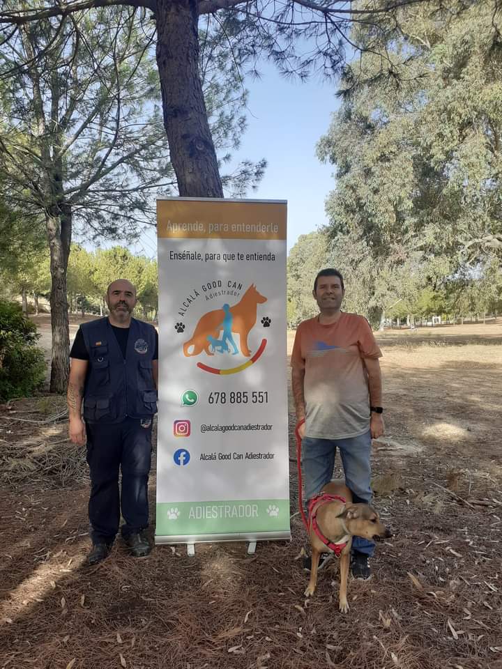 Perro de la galería de clientes de Alcalá Good Can