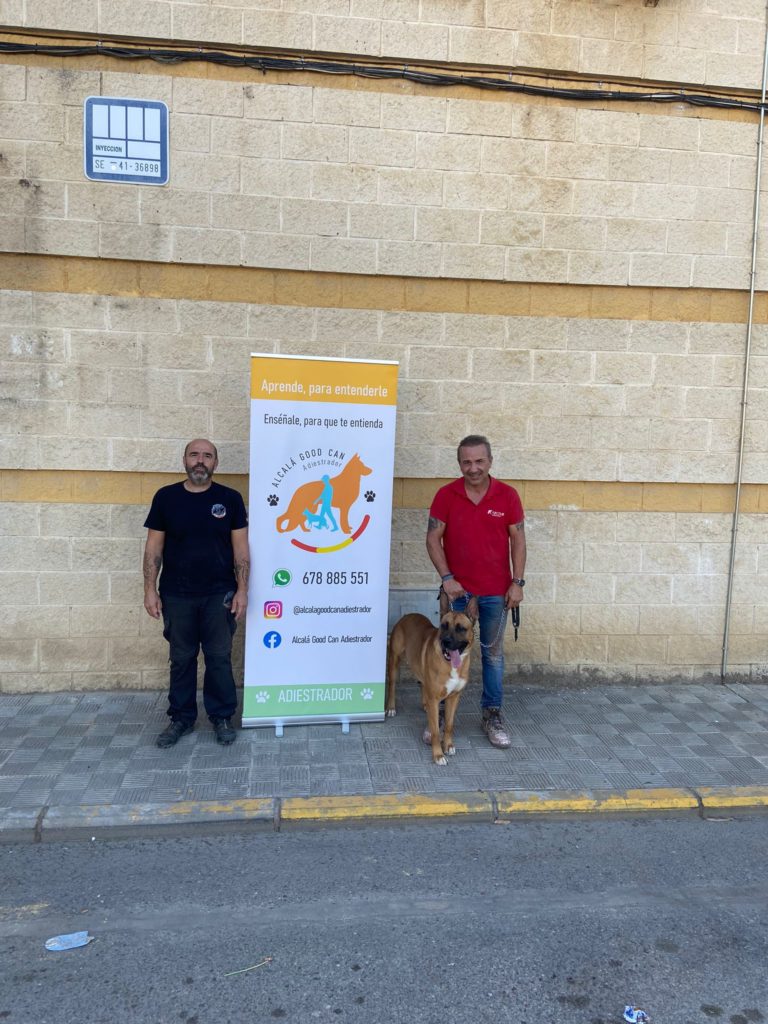 Perro de la galería de clientes de Alcalá Good Can