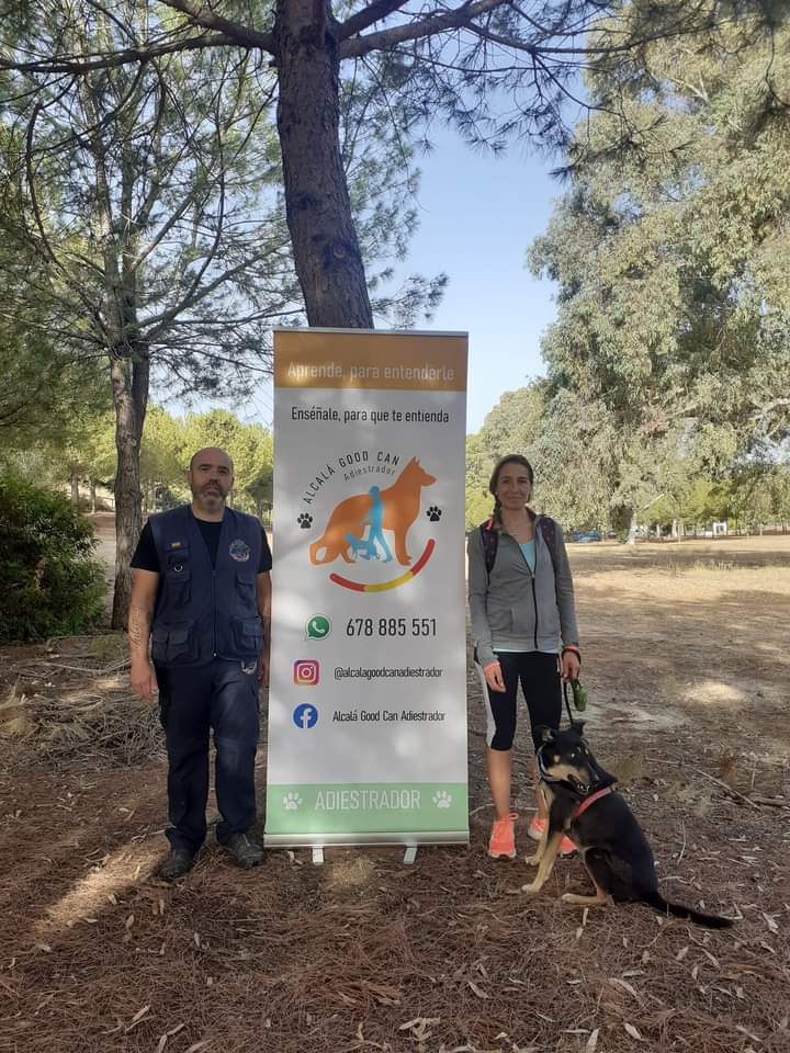Perro de la galería de clientes de Alcalá Good Can