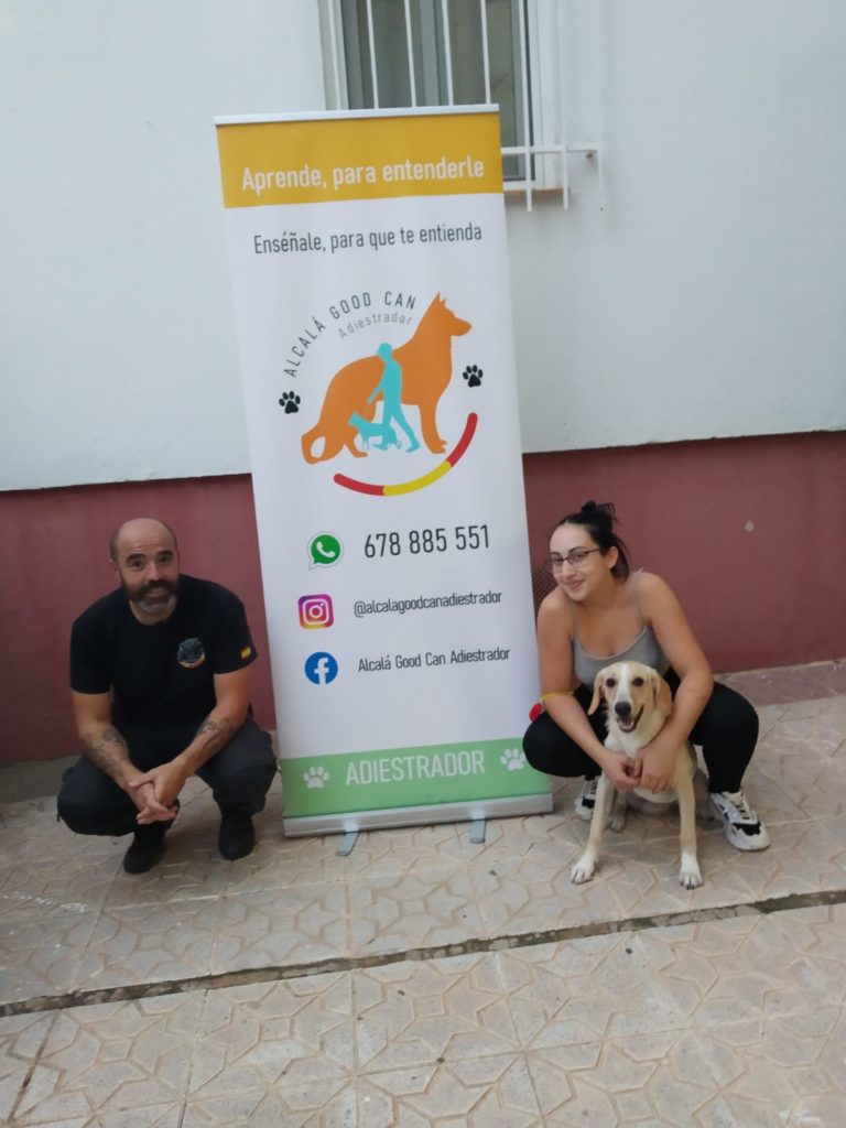Perro de la galería de clientes de Alcalá Good Can