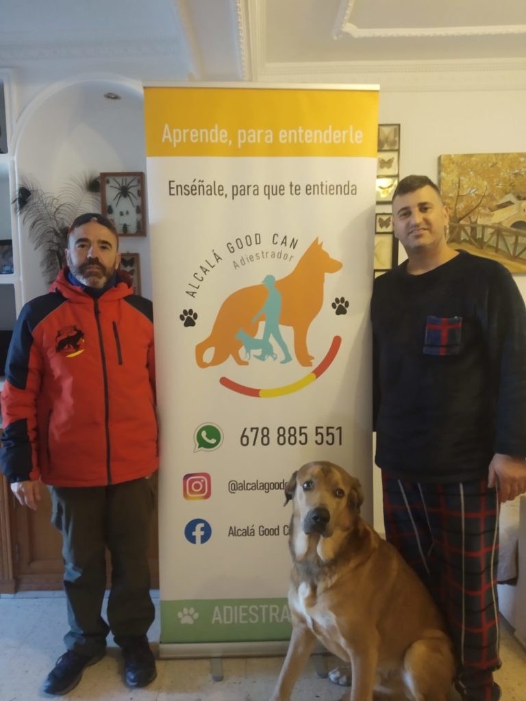 Perro de la galería de clientes de Alcalá Good Can
