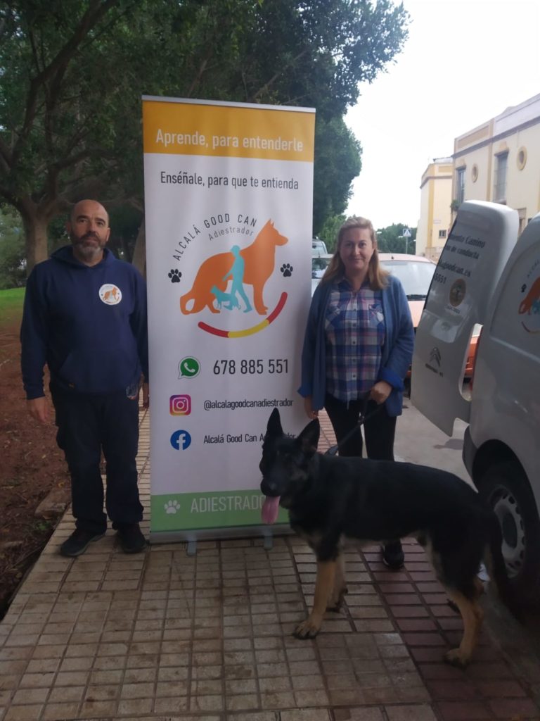 Perro de la galería de clientes de Alcalá Good Can