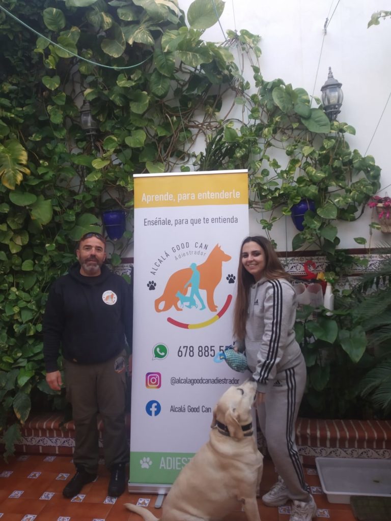 Perro de la galería de clientes de Alcalá Good Can