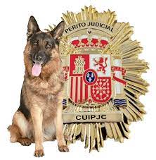 Segundo emblema de Perito Judicial Cinológico