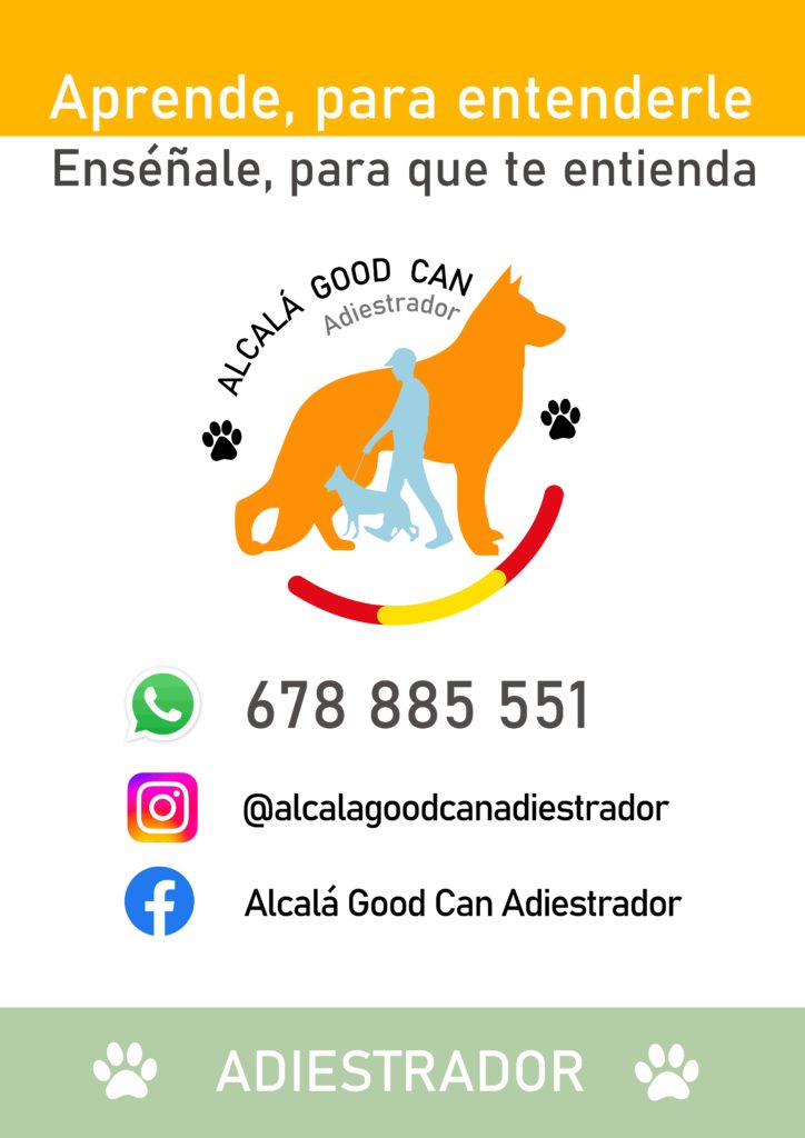 Adiestrador canino con perro